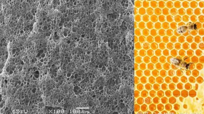 epp發泡聚丙烯的顯微結構，可以看到這是種連續閉孔結構，類似于蜂窩